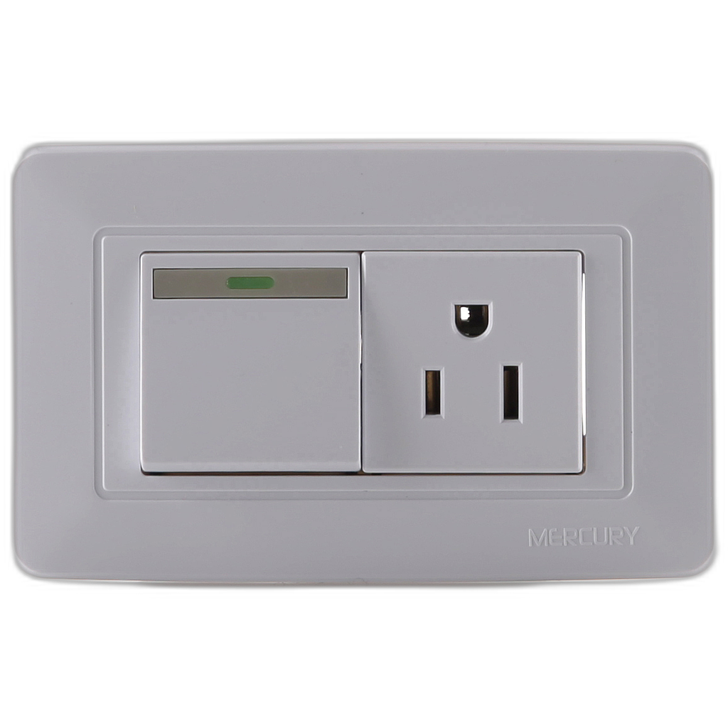 Toma + interruptor 118Z